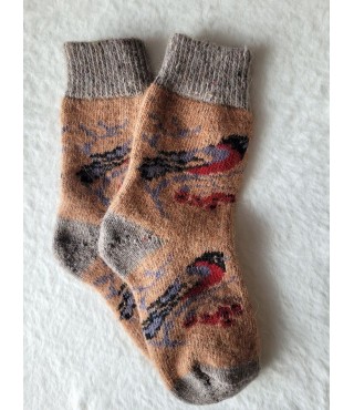 Naujos vilnonės kojinės - Paukščiai 2